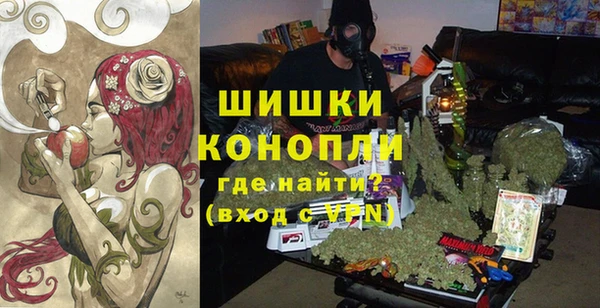 стафф Аркадак