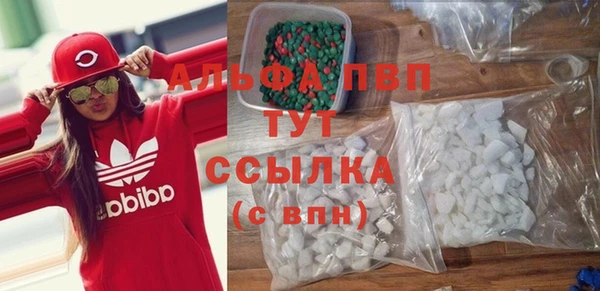 стафф Аркадак