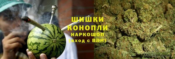 стафф Аркадак