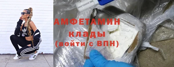 стафф Аркадак